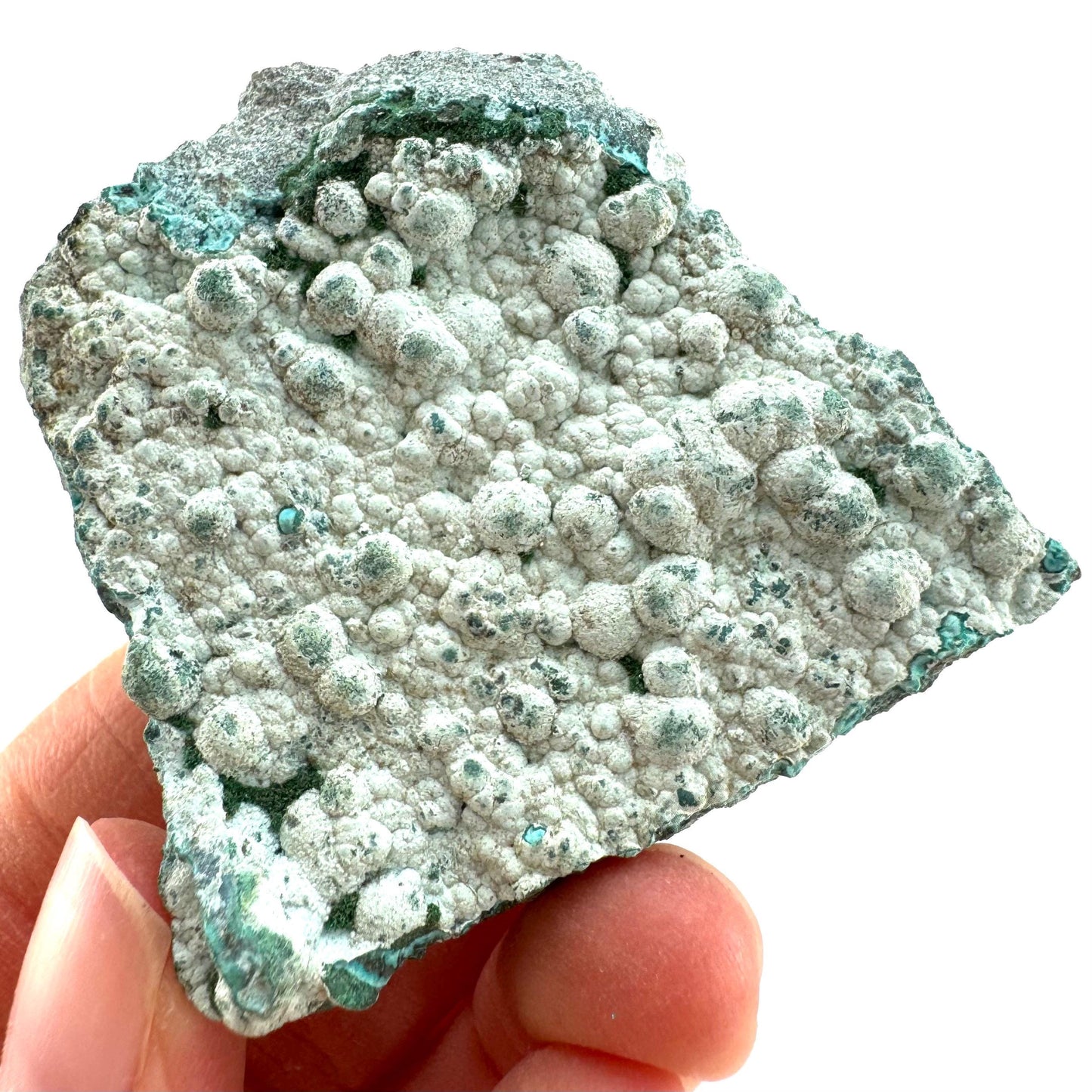 Chrysocolla (DR Congo) | botryoidal chrysocolla crystal, mineral specimen