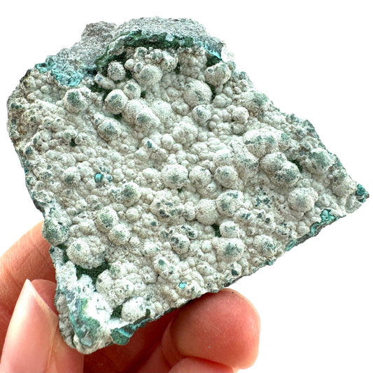 Chrysocolla (DR Congo) | botryoidal chrysocolla crystal, mineral specimen