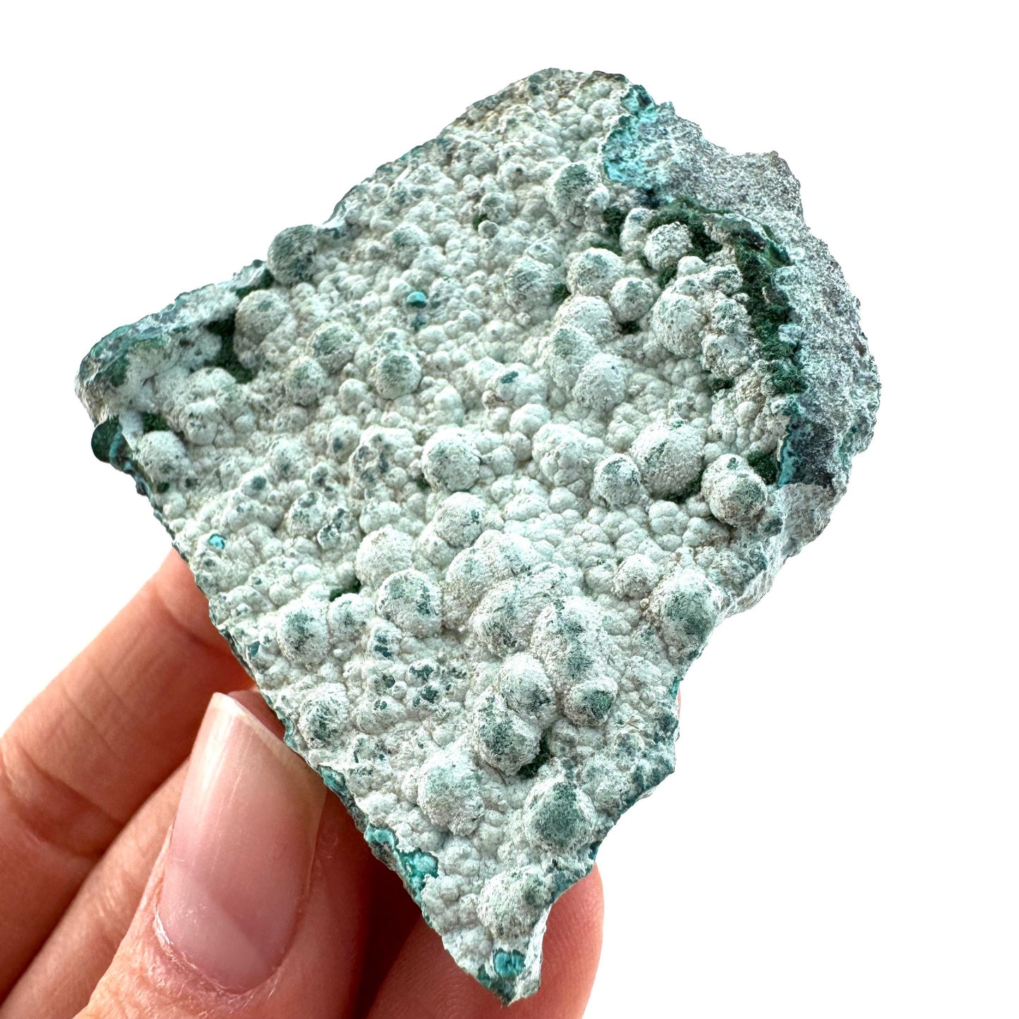 Chrysocolla (DR Congo) | botryoidal chrysocolla crystal, mineral specimen