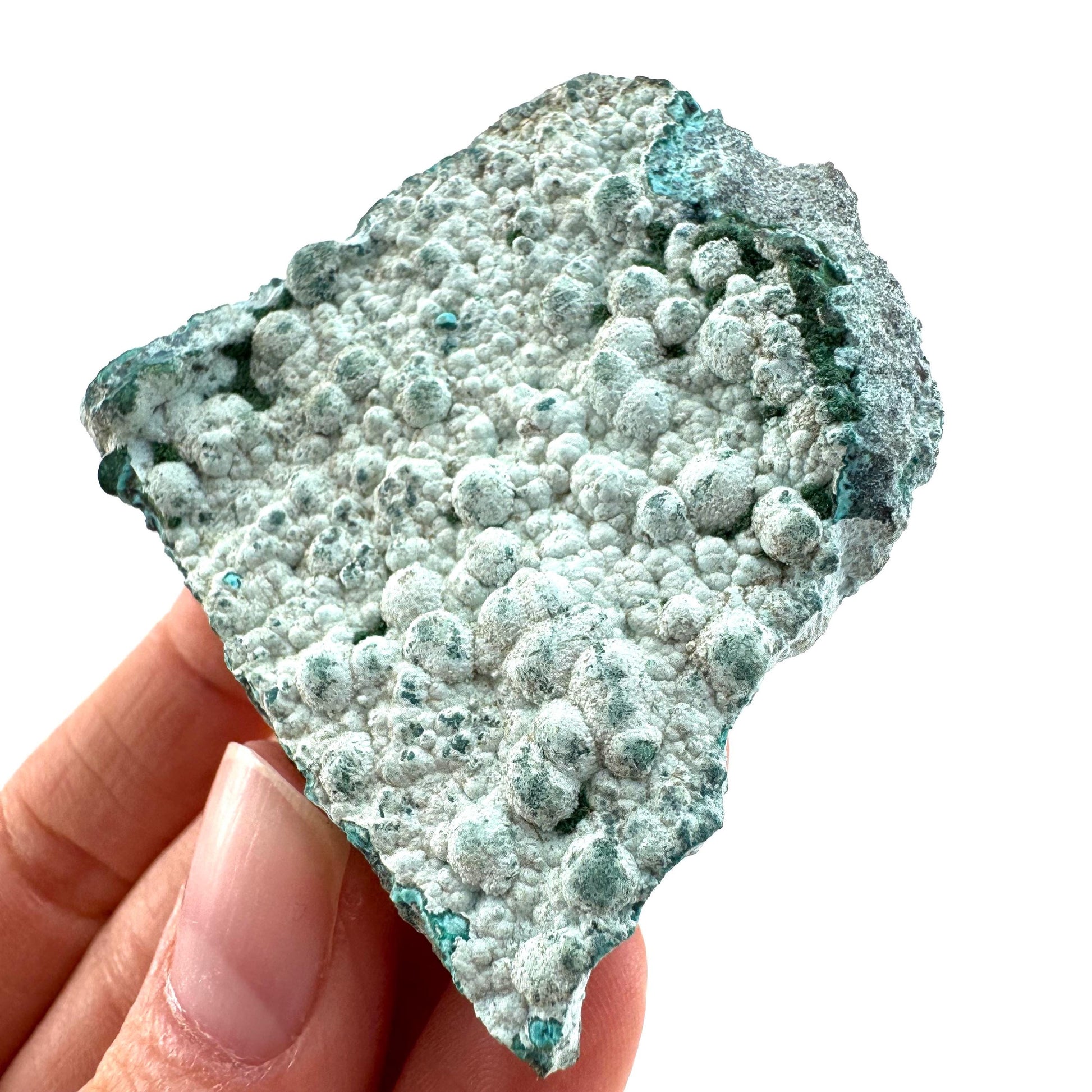 Chrysocolla (DR Congo) | botryoidal chrysocolla crystal, mineral specimen
