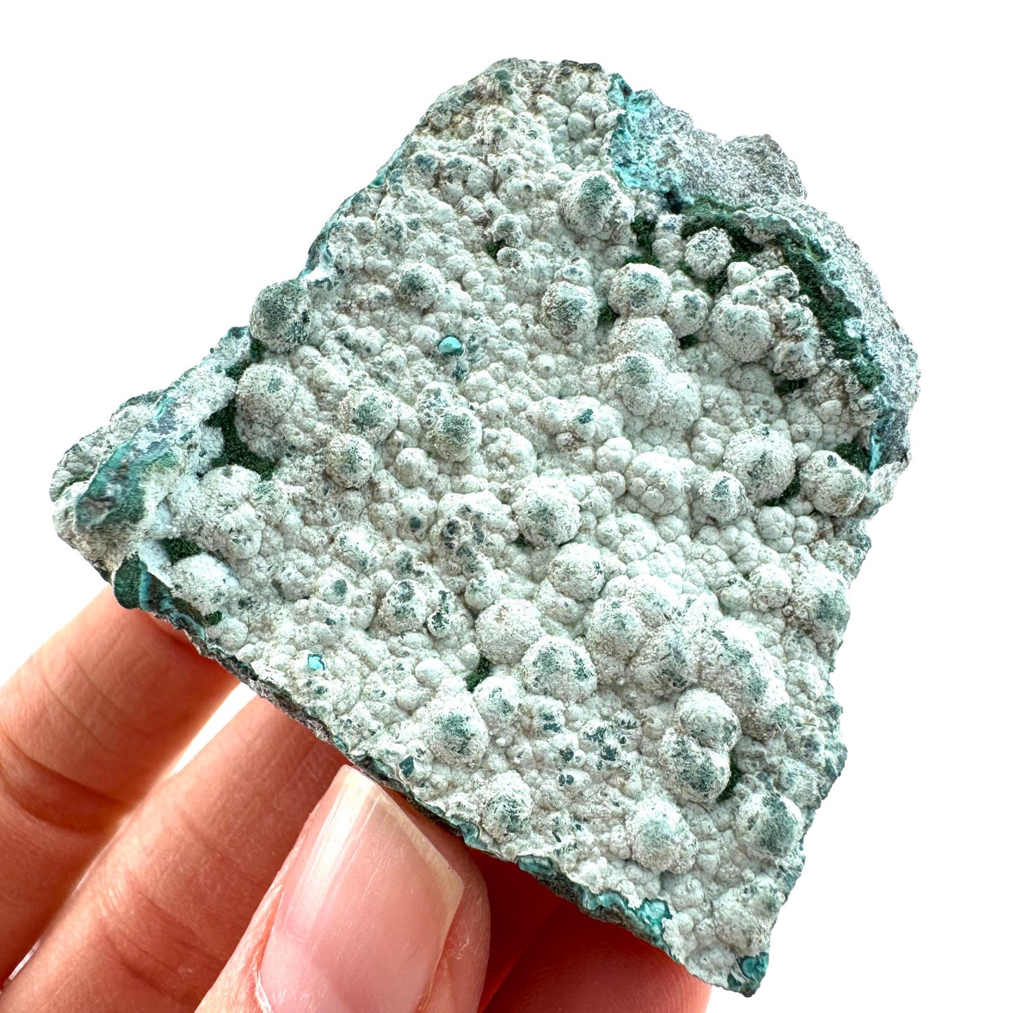 Chrysocolla (DR Congo) | botryoidal chrysocolla crystal, mineral specimen