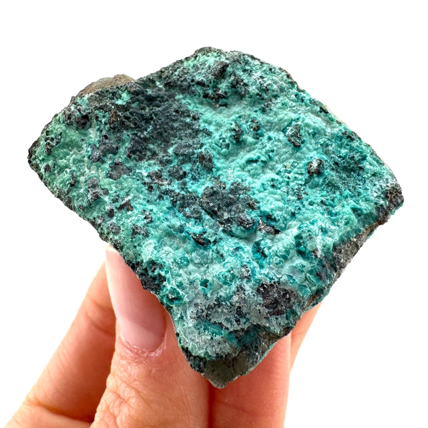 Chrysocolla / Gem Silica (DR Congo) | botryoidal chrysocolla crystal, mineral specimen