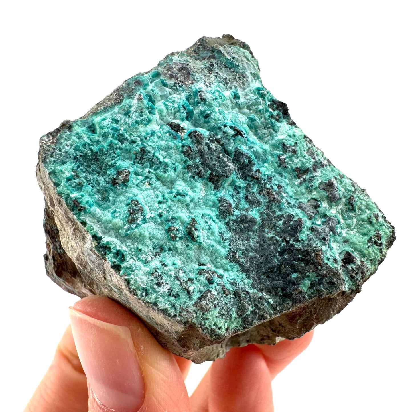 Chrysocolla / Gem Silica (DR Congo) | botryoidal chrysocolla crystal, mineral specimen