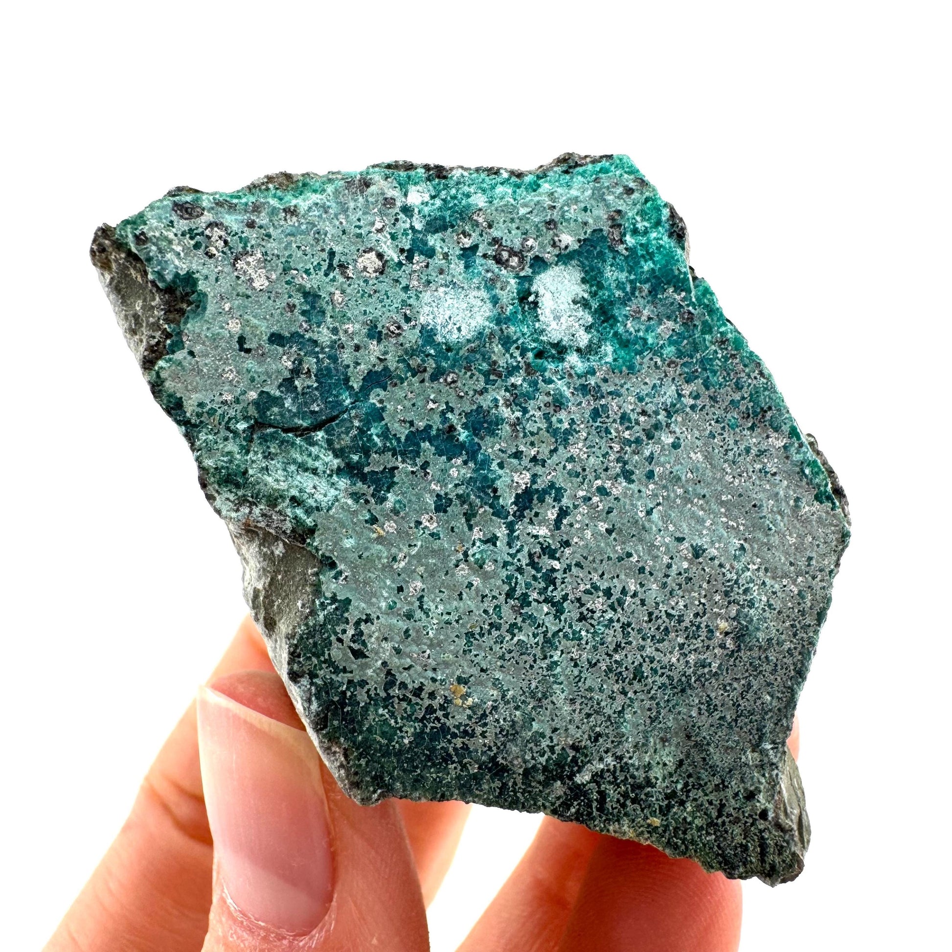 Chrysocolla / Gem Silica (DR Congo) | botryoidal chrysocolla crystal, mineral specimen