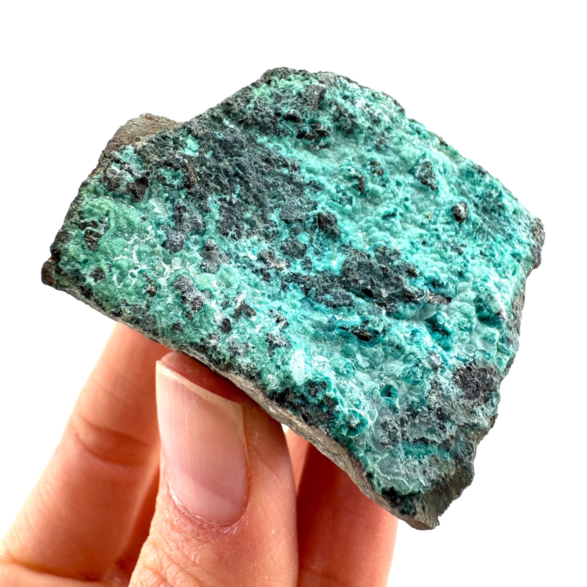 Chrysocolla / Gem Silica (DR Congo) | botryoidal chrysocolla crystal, mineral specimen