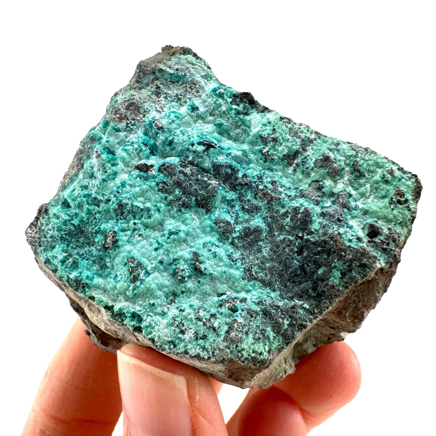 Chrysocolla / Gem Silica (DR Congo) | botryoidal chrysocolla crystal, mineral specimen