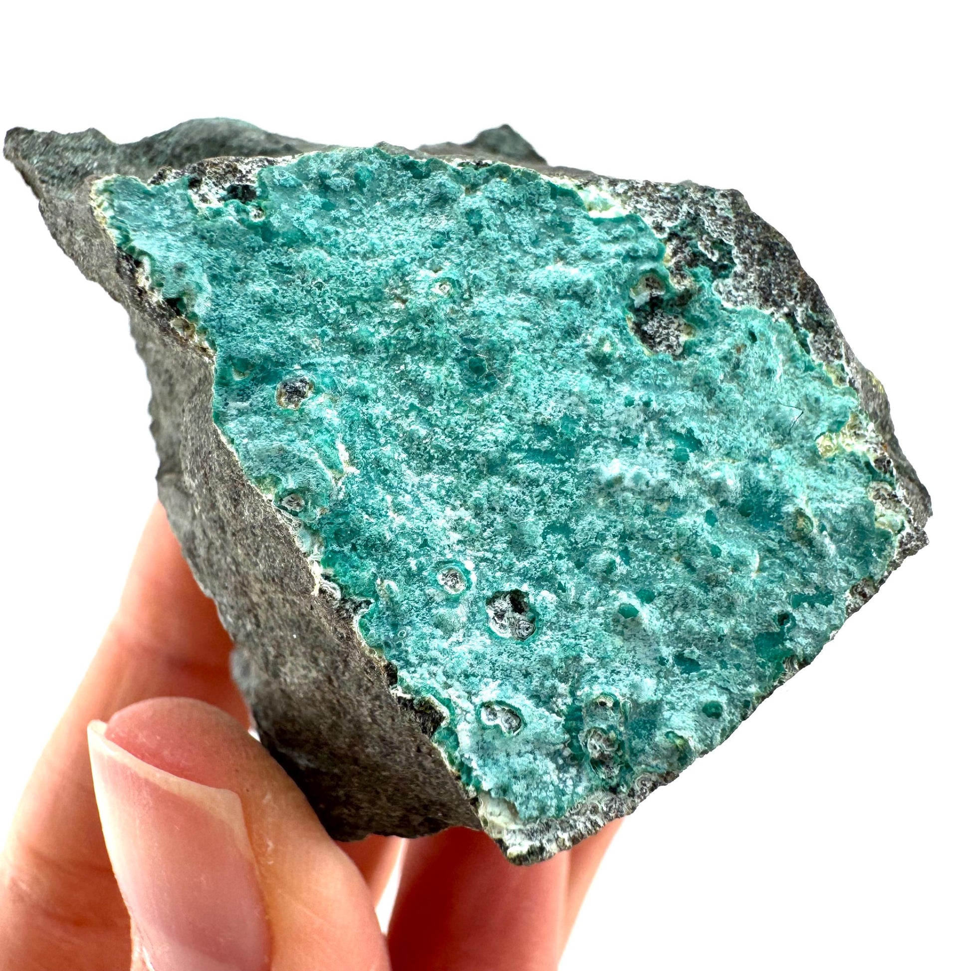 Chrysocolla / Gem Silica (DR Congo) | botryoidal chrysocolla crystal, mineral specimen