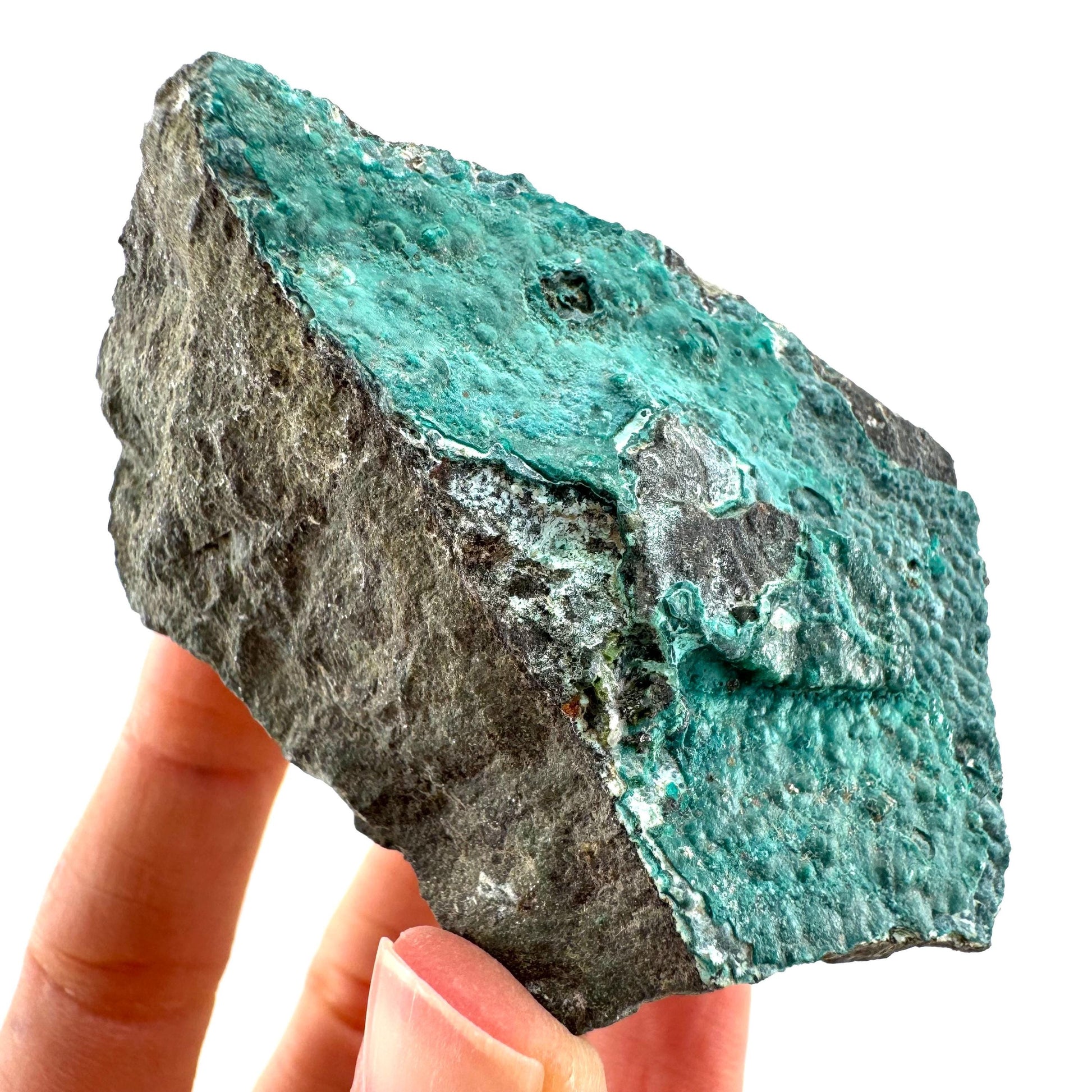 Chrysocolla / Gem Silica (DR Congo) | botryoidal chrysocolla crystal, mineral specimen