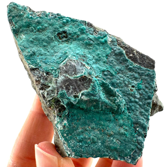 Chrysocolla / Gem Silica (DR Congo) | botryoidal chrysocolla crystal, mineral specimen
