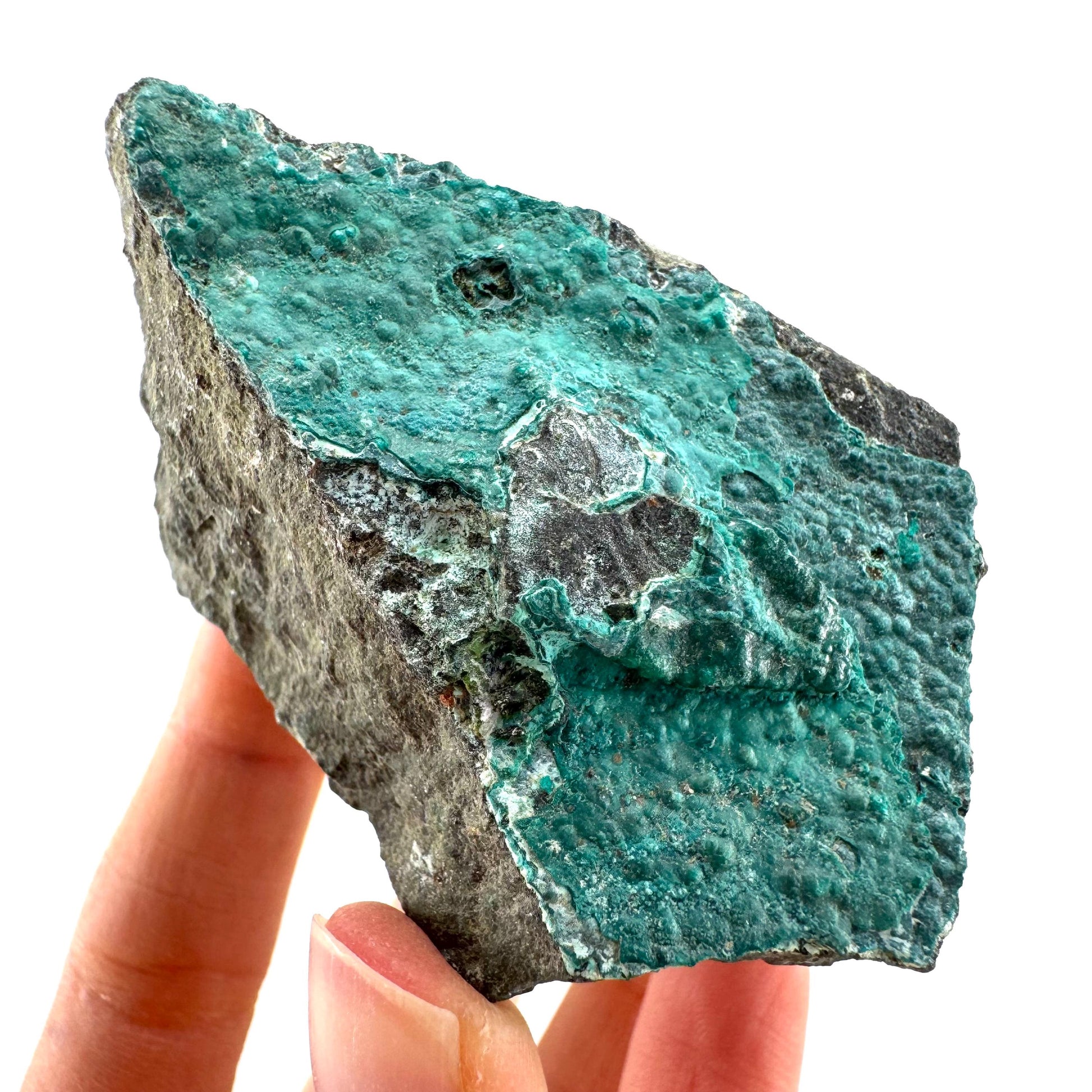 Chrysocolla / Gem Silica (DR Congo) | botryoidal chrysocolla crystal, mineral specimen