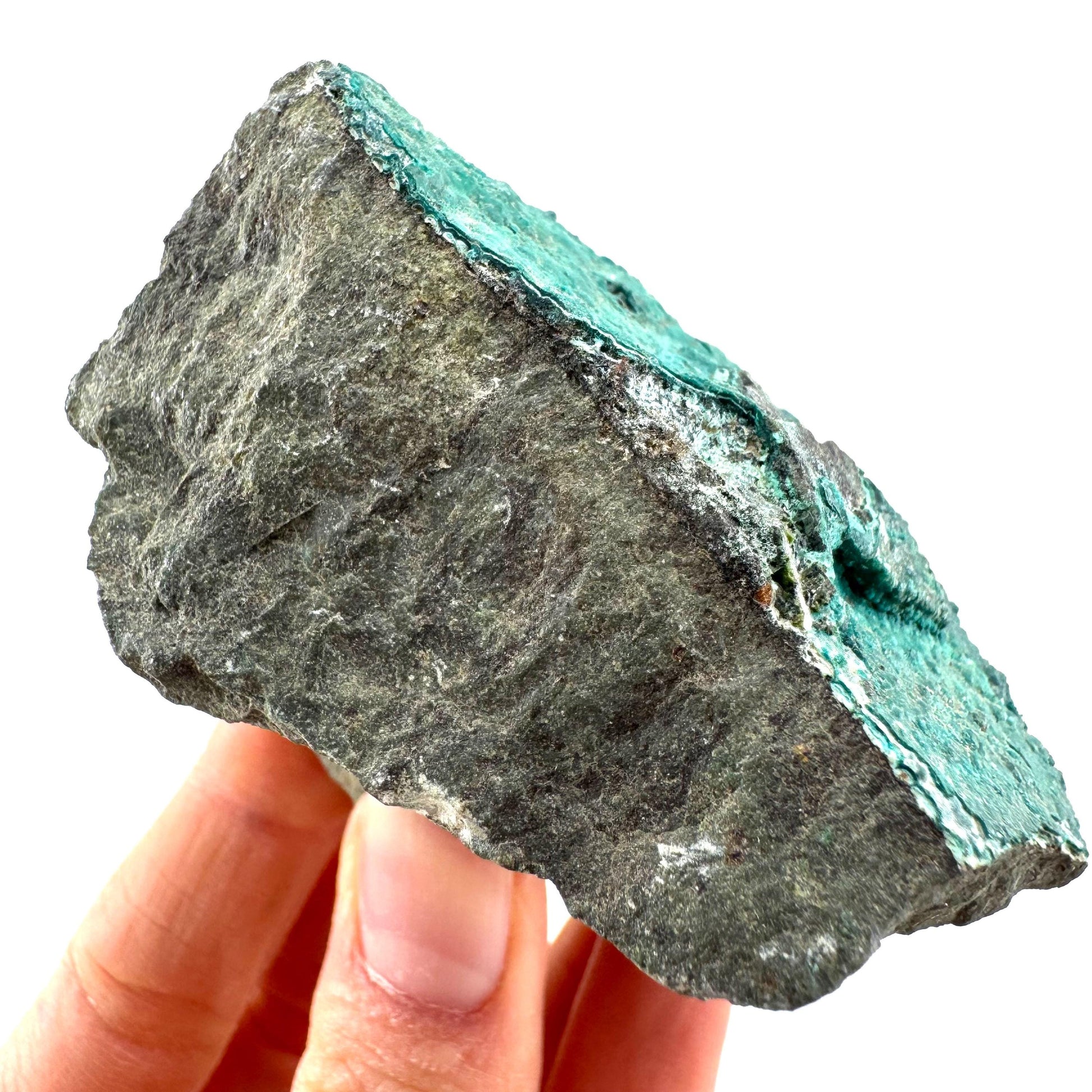 Chrysocolla / Gem Silica (DR Congo) | botryoidal chrysocolla crystal, mineral specimen
