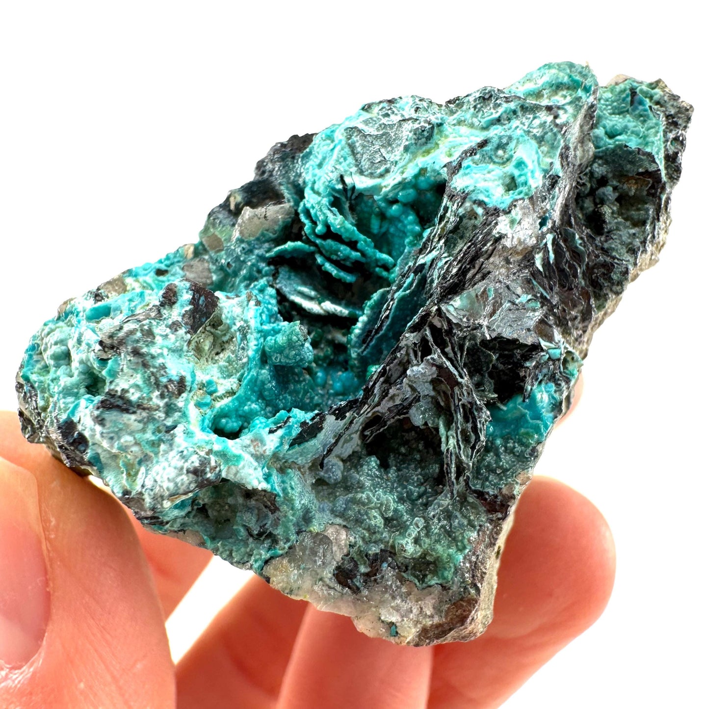 Chrysocolla / Gem Silica (DR Congo) | botryoidal chrysocolla crystal, mineral specimen