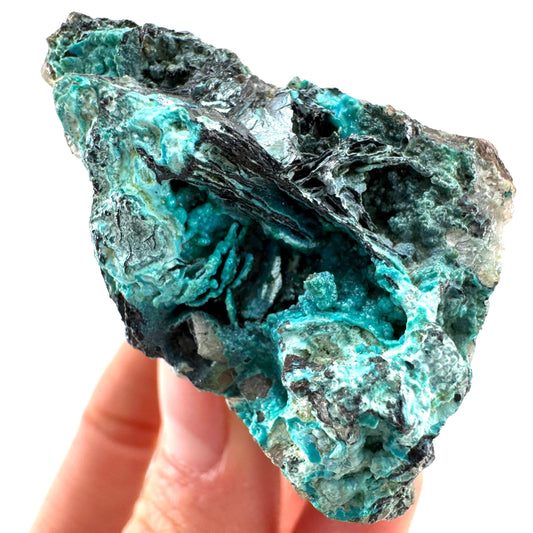 Chrysocolla / Gem Silica (DR Congo) | botryoidal chrysocolla crystal, mineral specimen