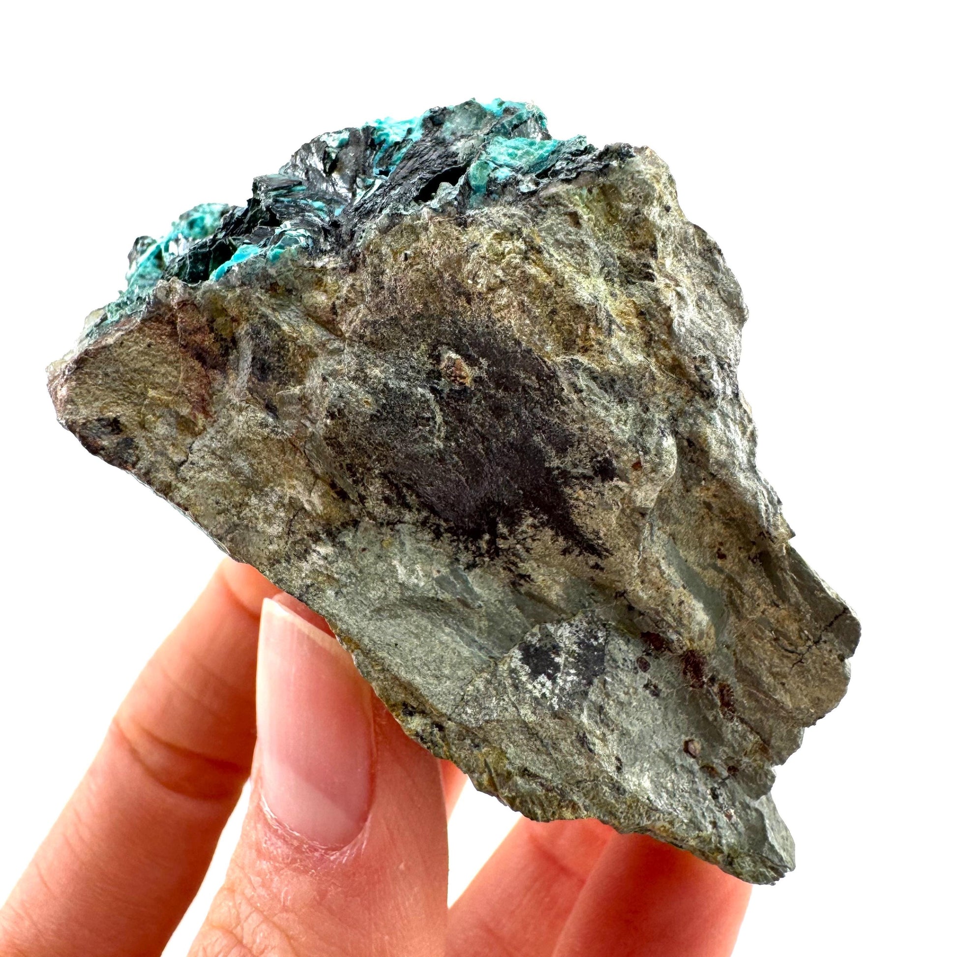 Chrysocolla / Gem Silica (DR Congo) | botryoidal chrysocolla crystal, mineral specimen