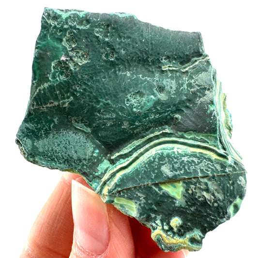 Chrysocolla & Malachite (DR Congo) | botryoidal chrysocolla crystal, mineral specimen