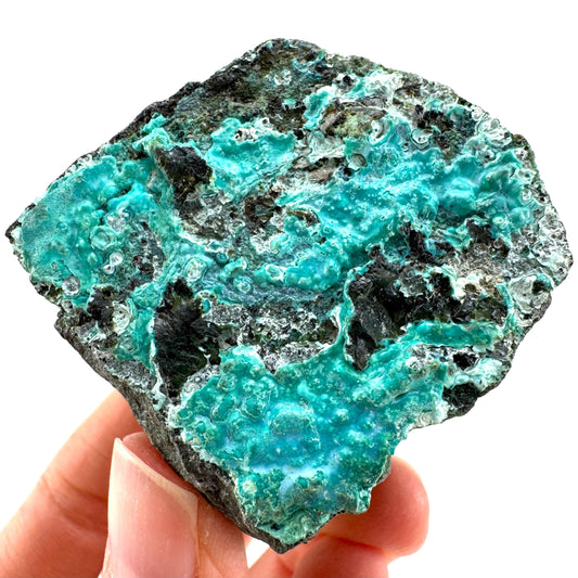 Chrysocolla / Gem Silica (DR Congo) | botryoidal chrysocolla crystal, mineral specimen