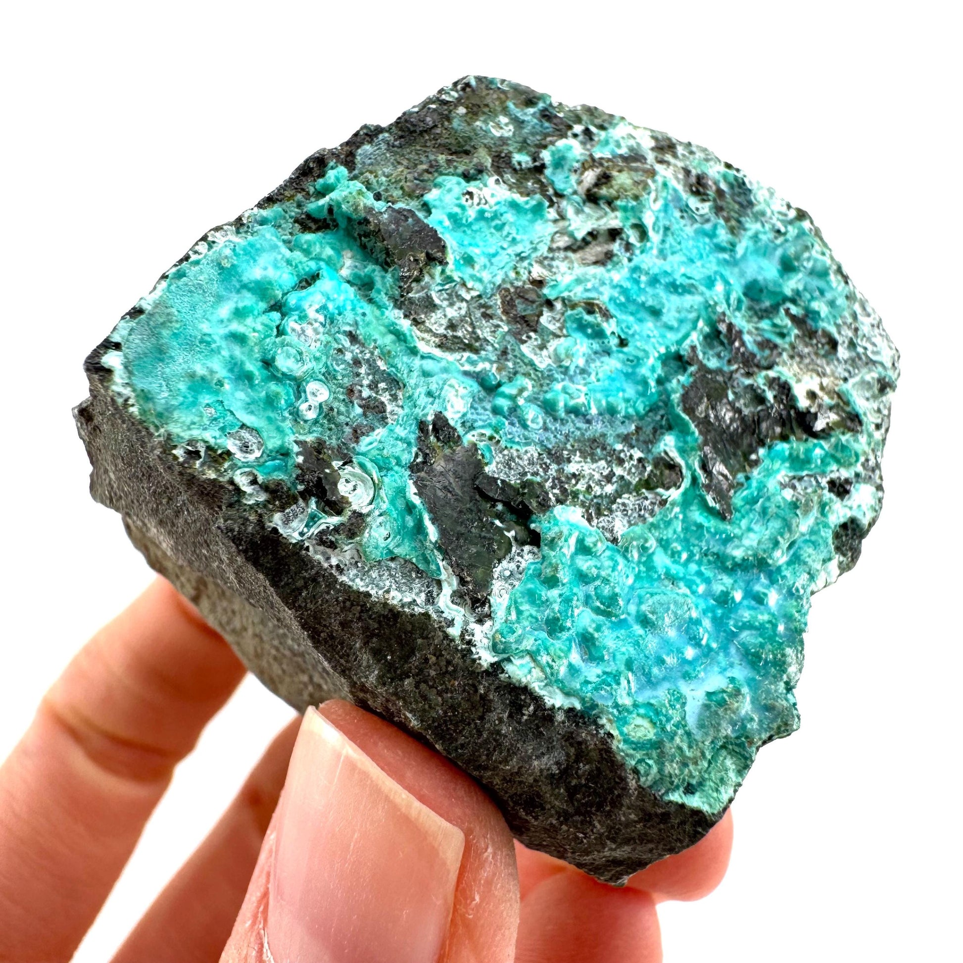 Chrysocolla / Gem Silica (DR Congo) | botryoidal chrysocolla crystal, mineral specimen