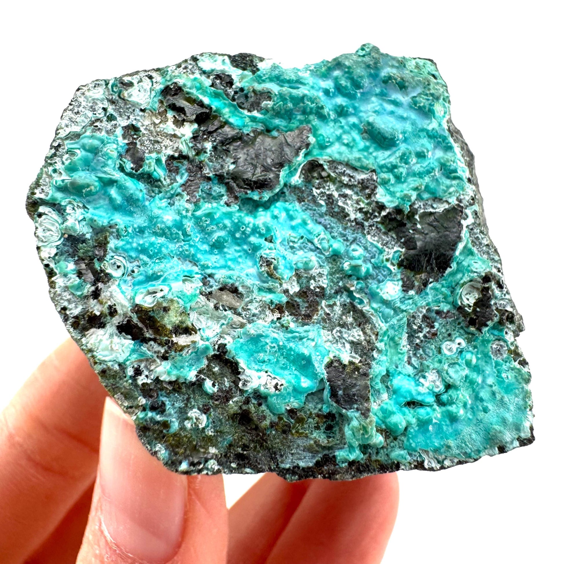Chrysocolla / Gem Silica (DR Congo) | botryoidal chrysocolla crystal, mineral specimen
