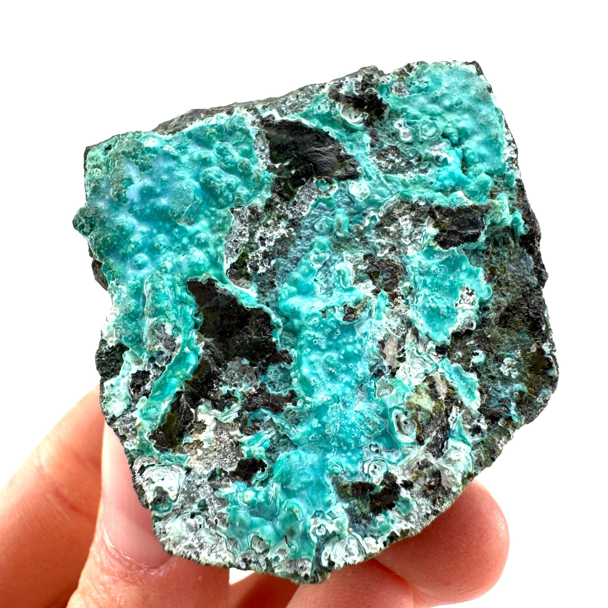 Chrysocolla / Gem Silica (DR Congo) | botryoidal chrysocolla crystal, mineral specimen