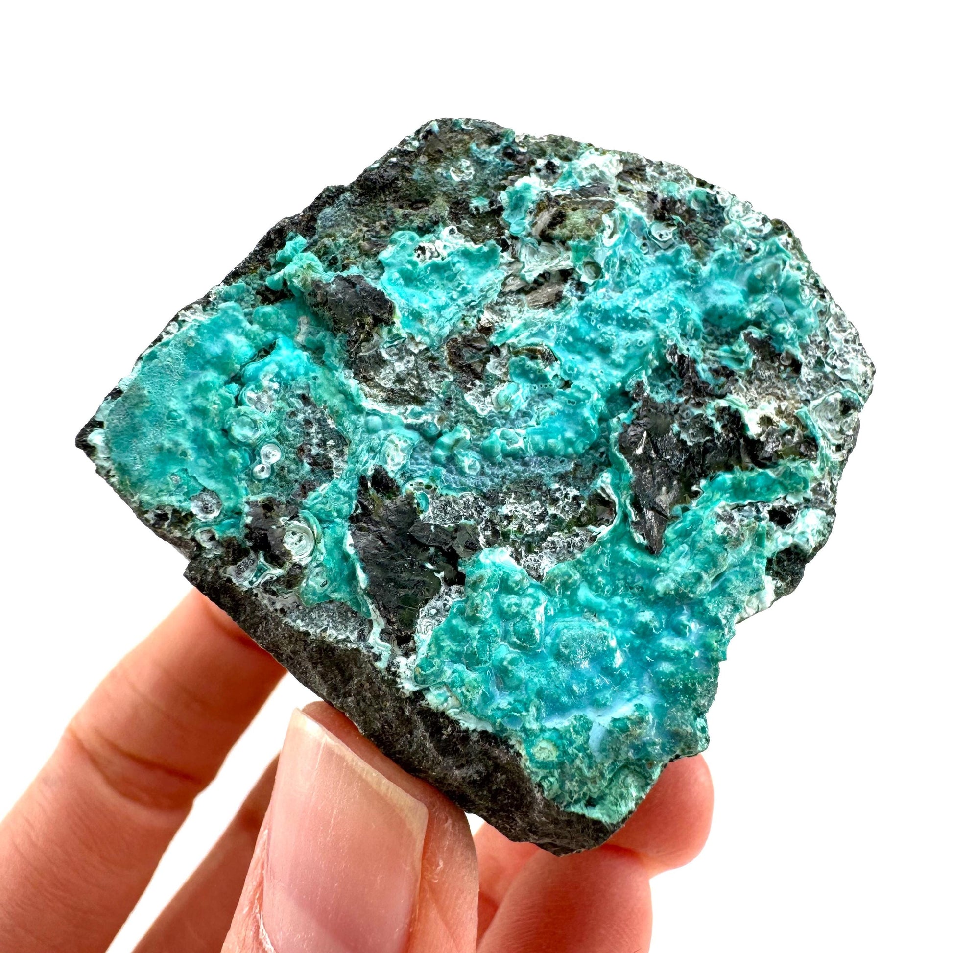 Chrysocolla / Gem Silica (DR Congo) | botryoidal chrysocolla crystal, mineral specimen