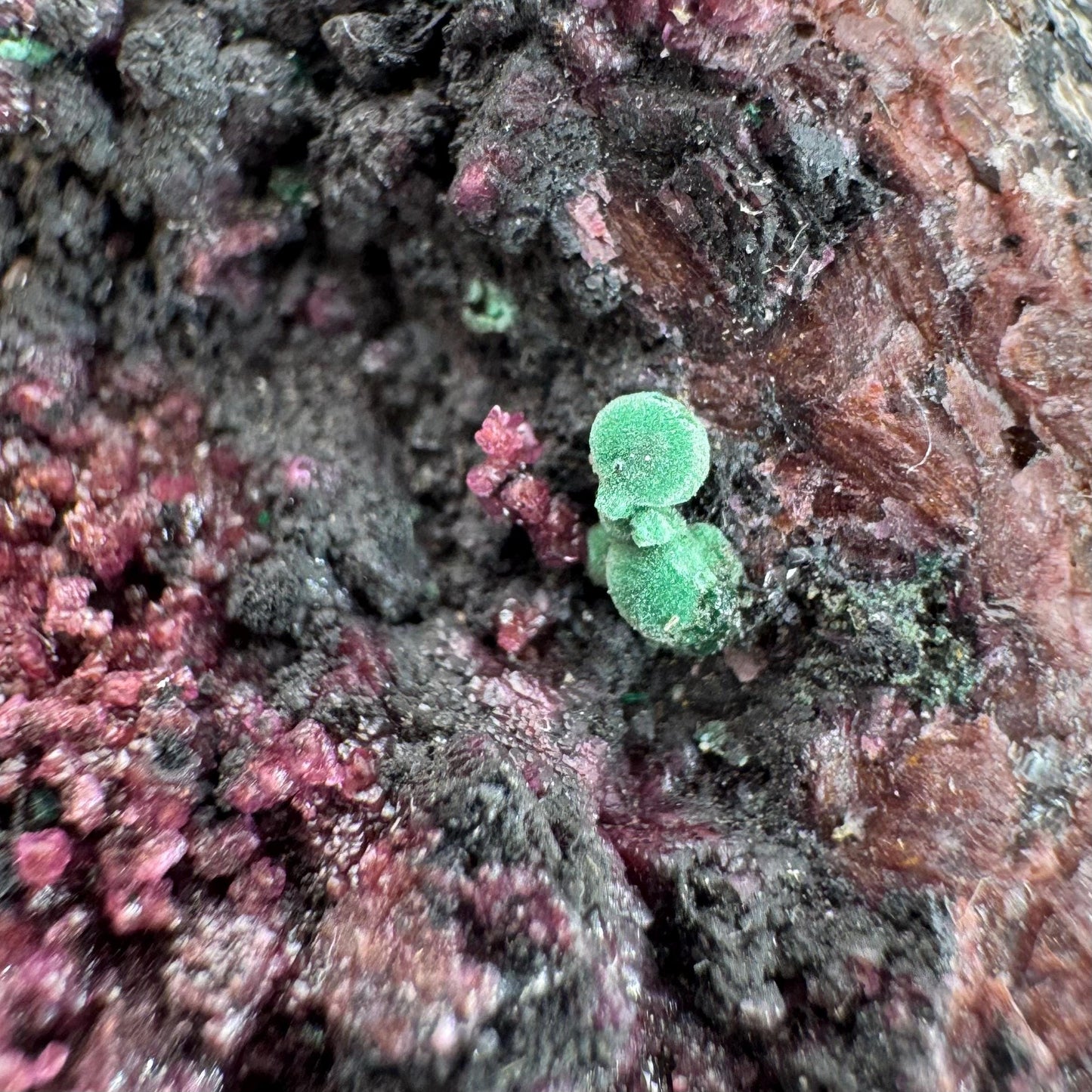 Cobaltoan Calcite w/ Malachite & Heterogenite (DR Congo) | cobalto calcite crystal, malachite crystal, mineral specimen