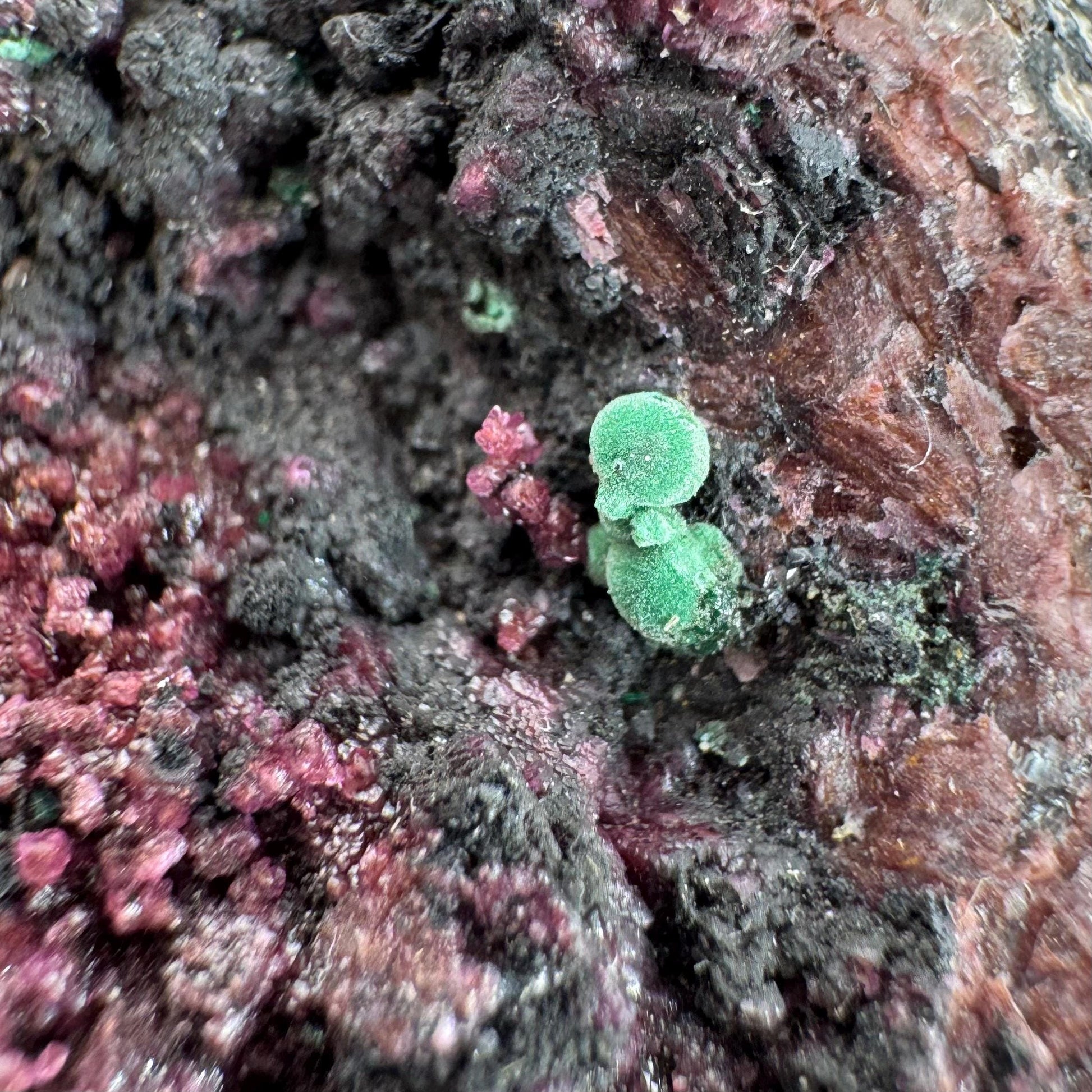 Cobaltoan Calcite w/ Malachite & Heterogenite (DR Congo) | cobalto calcite crystal, malachite crystal, mineral specimen
