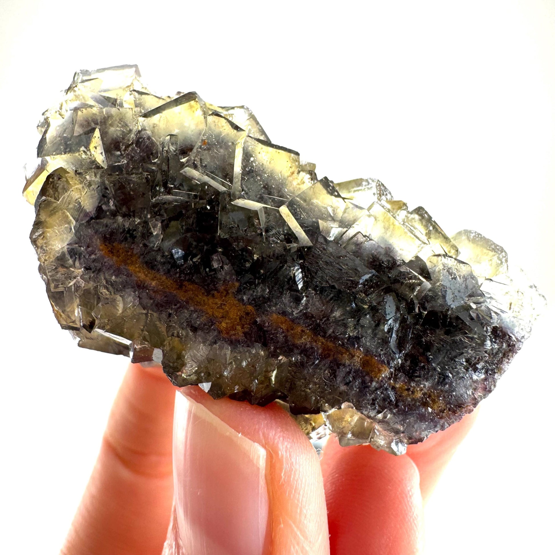 Okorusu Fluorite (Namibia) | “Honey Pocket” fluorite cluster, yellow fluorite crystal, mineral specimen