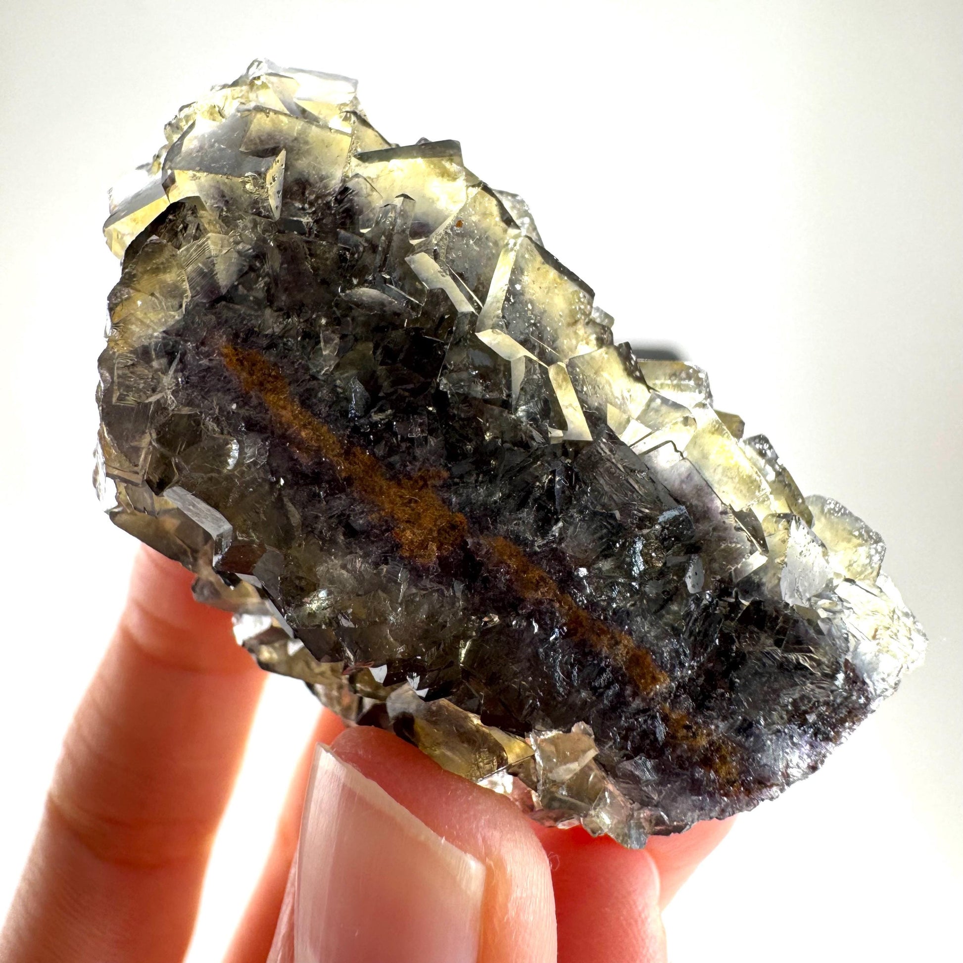 Okorusu Fluorite (Namibia) | “Honey Pocket” fluorite cluster, yellow fluorite crystal, mineral specimen