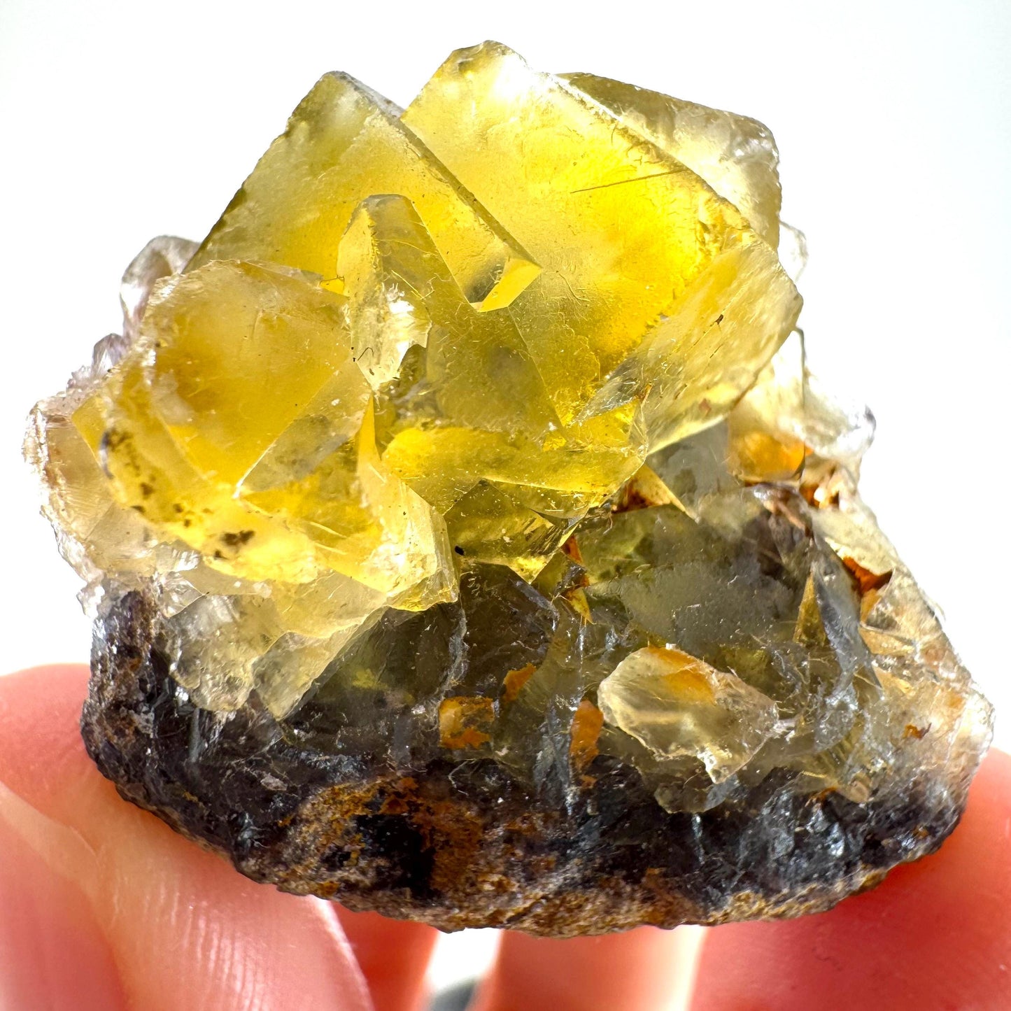 Okorusu Fluorite (Namibia) | “Honey Pocket” fluorite cluster, yellow fluorite crystal, mineral specimen