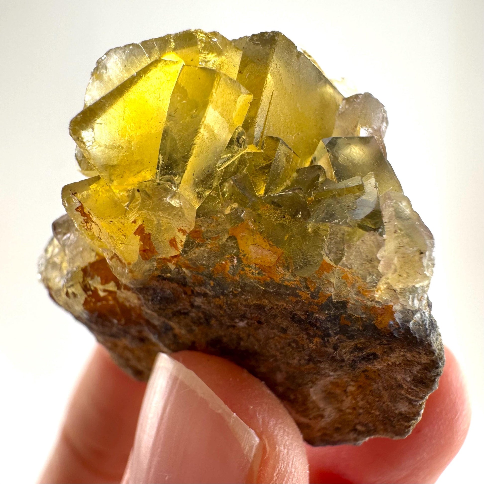 Okorusu Fluorite (Namibia) | “Honey Pocket” fluorite cluster, yellow fluorite crystal, mineral specimen