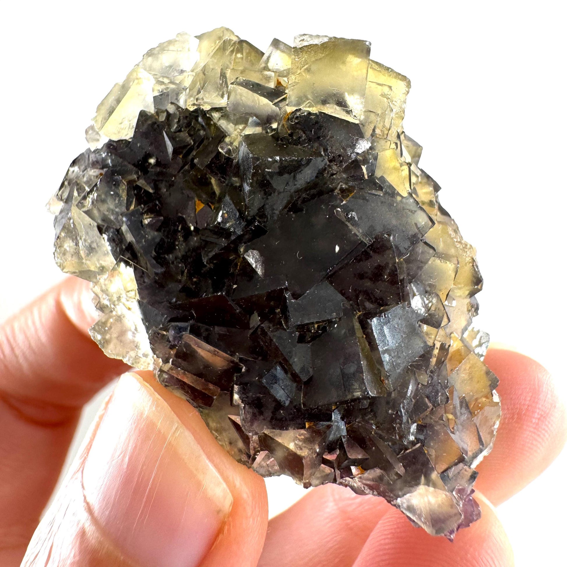 Okorusu Fluorite (Namibia) | “Honey Pocket” fluorite cluster, yellow fluorite crystal, mineral specimen