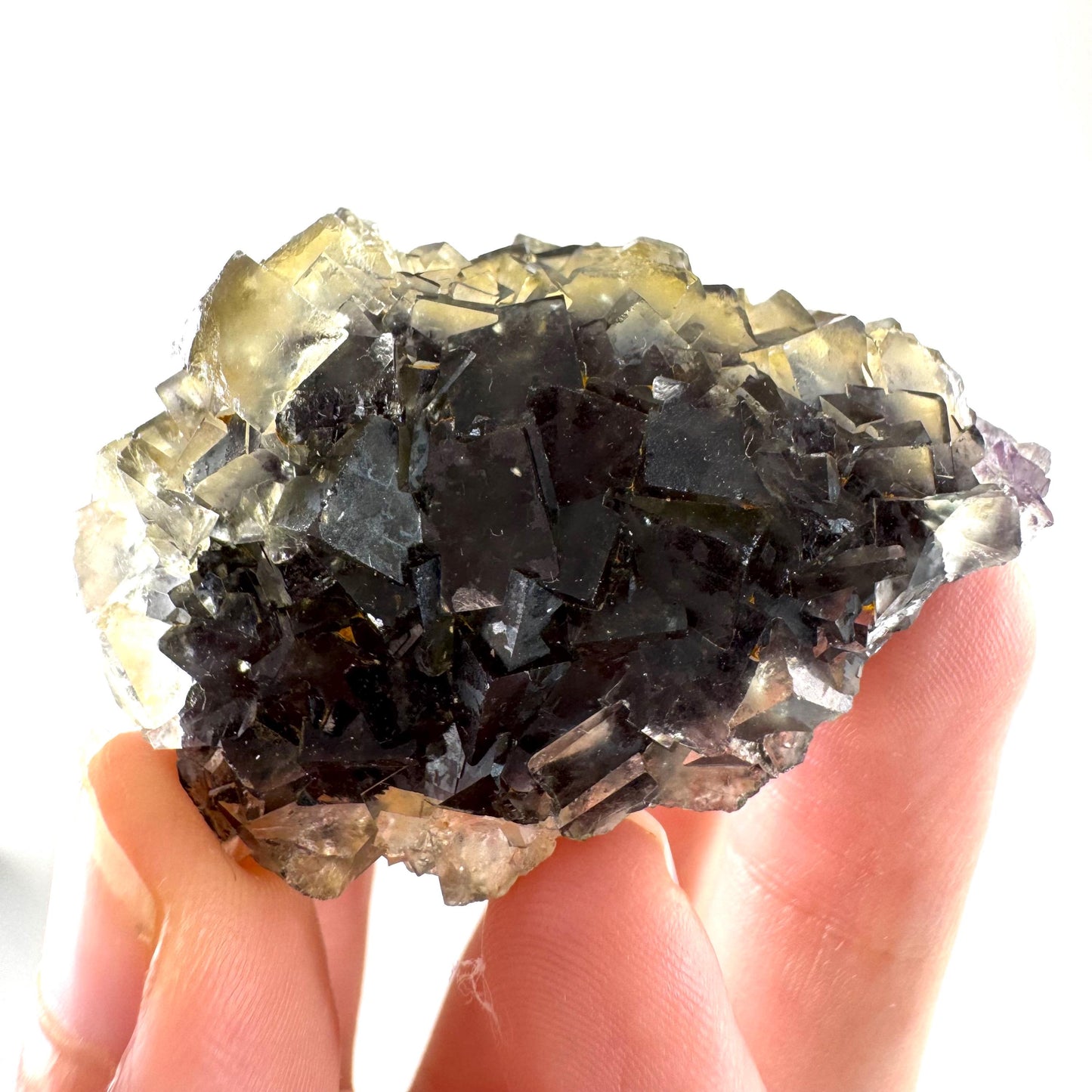 Okorusu Fluorite (Namibia) | “Honey Pocket” fluorite cluster, yellow fluorite crystal, mineral specimen
