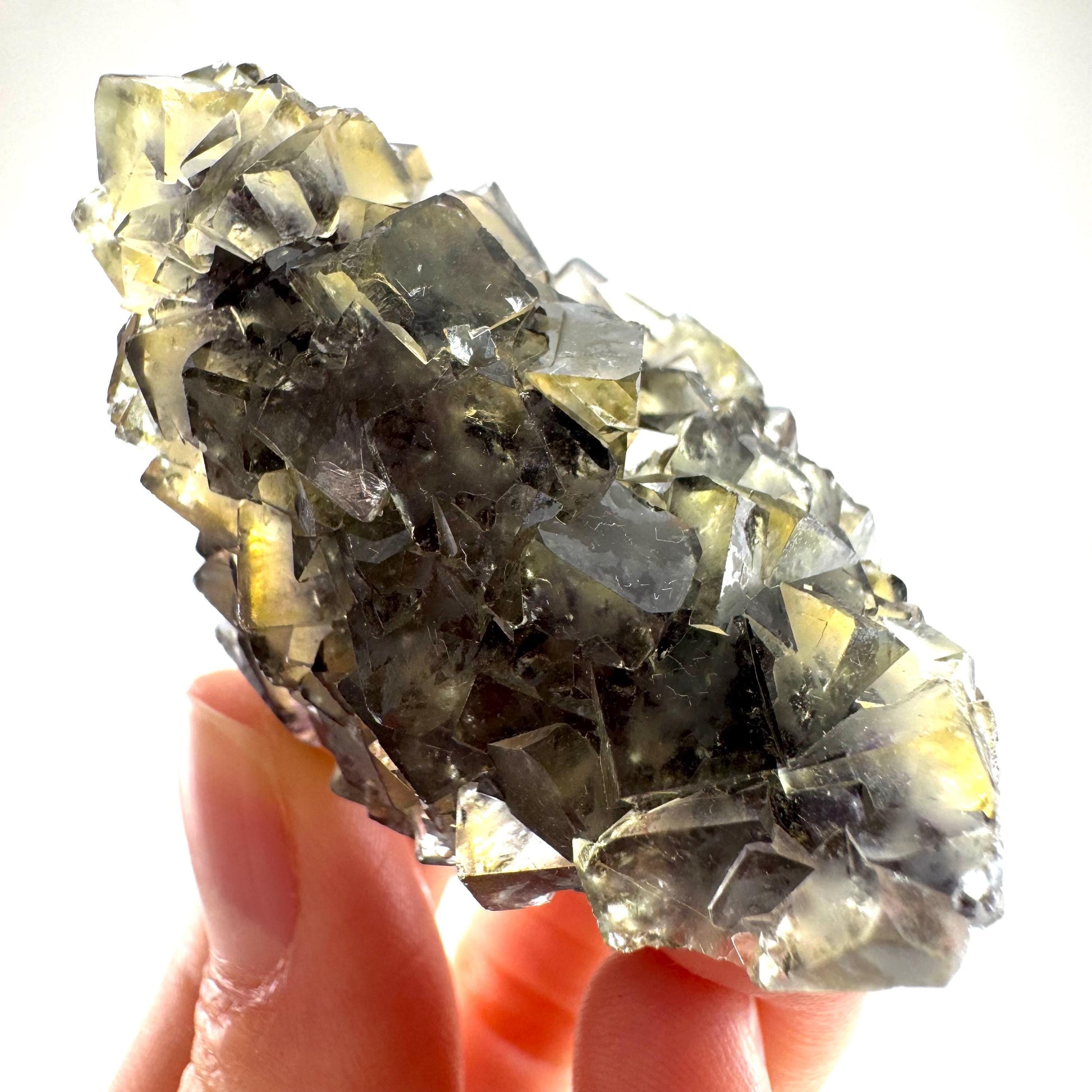 Okorusu Fluorite (Namibia) | “Honey Pocket” fluorite cluster, yellow fluorite crystal, mineral specimen
