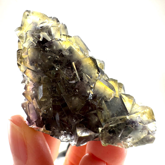 Okorusu Fluorite (Namibia) | “Honey Pocket” fluorite cluster, yellow fluorite crystal, mineral specimen