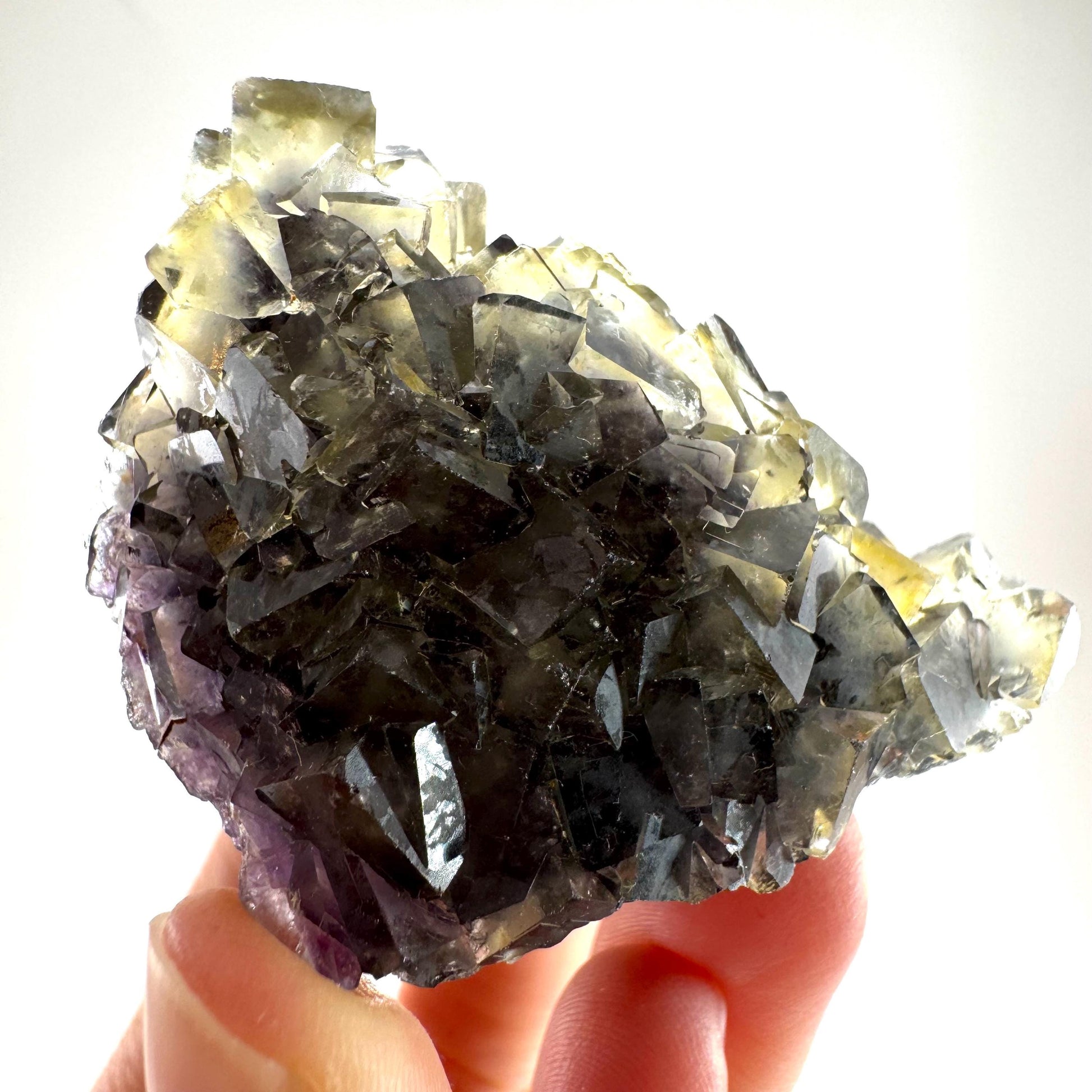 Okorusu Fluorite (Namibia) | “Honey Pocket” fluorite cluster, yellow fluorite crystal, mineral specimen