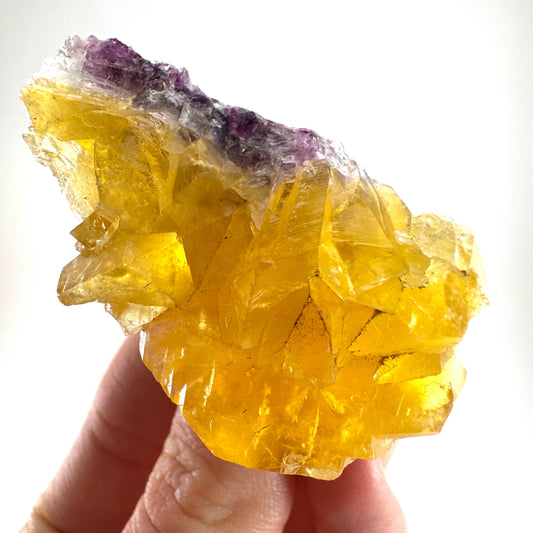 Okorusu Fluorite (Namibia) | “Honey Pocket” fluorite cluster, yellow fluorite crystal, mineral specimen