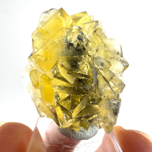 Okorusu Fluorite (Namibia) | “Honey Pocket” fluorite cluster, yellow fluorite crystal, mineral specimen