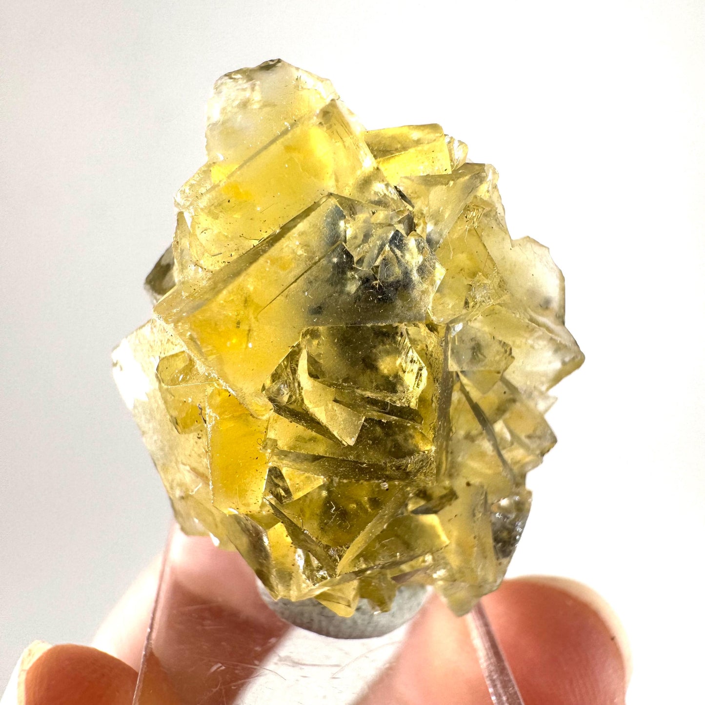 Okorusu Fluorite (Namibia) | “Honey Pocket” fluorite cluster, yellow fluorite crystal, mineral specimen