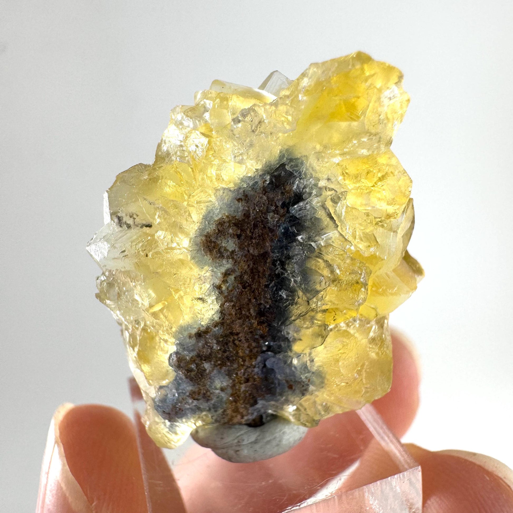 Okorusu Fluorite (Namibia) | “Honey Pocket” fluorite cluster, yellow fluorite crystal, mineral specimen