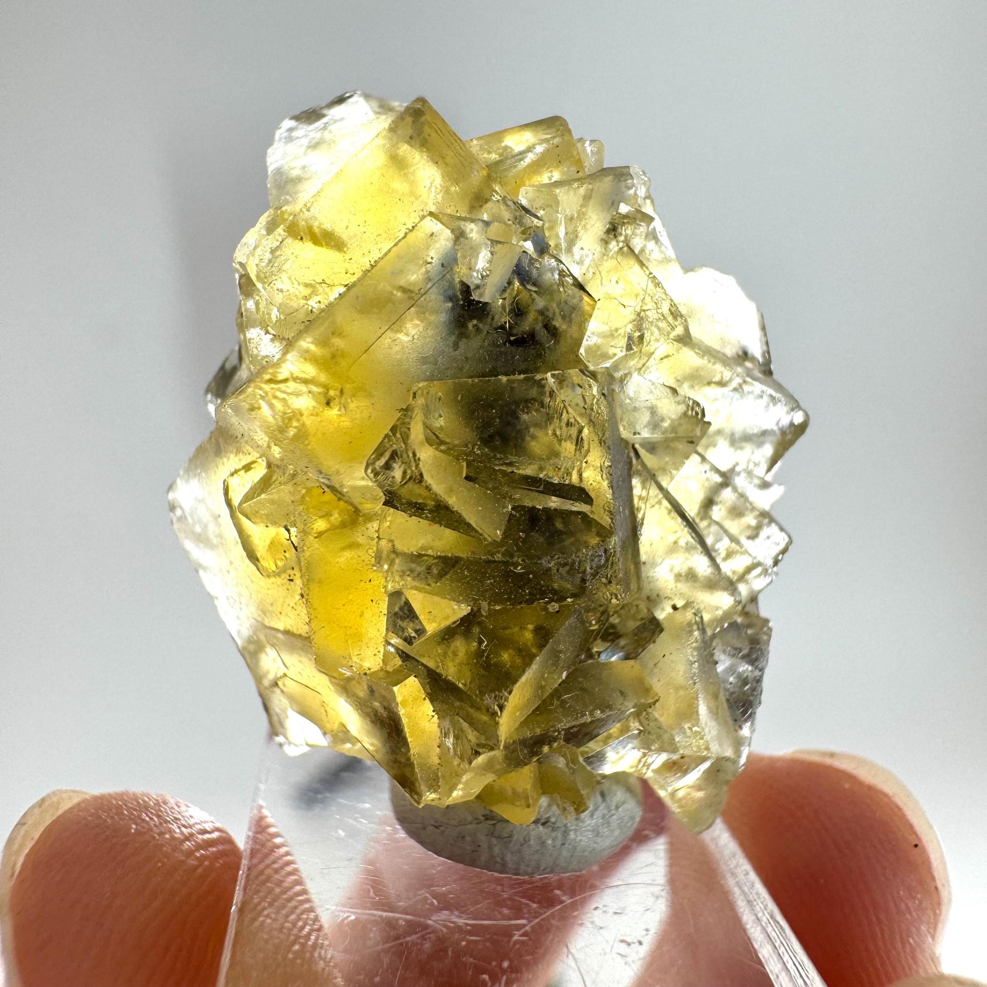 Okorusu Fluorite (Namibia) | “Honey Pocket” fluorite cluster, yellow fluorite crystal, mineral specimen