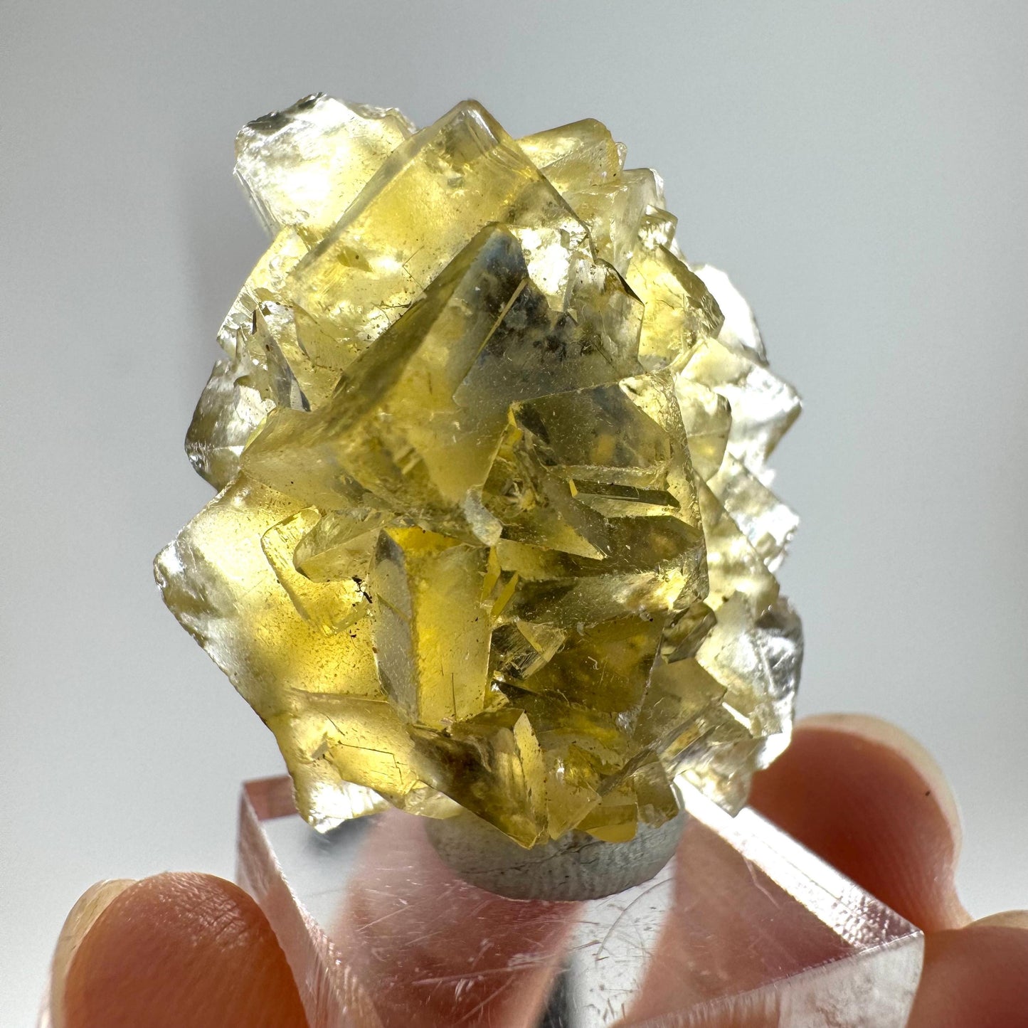 Okorusu Fluorite (Namibia) | “Honey Pocket” fluorite cluster, yellow fluorite crystal, mineral specimen