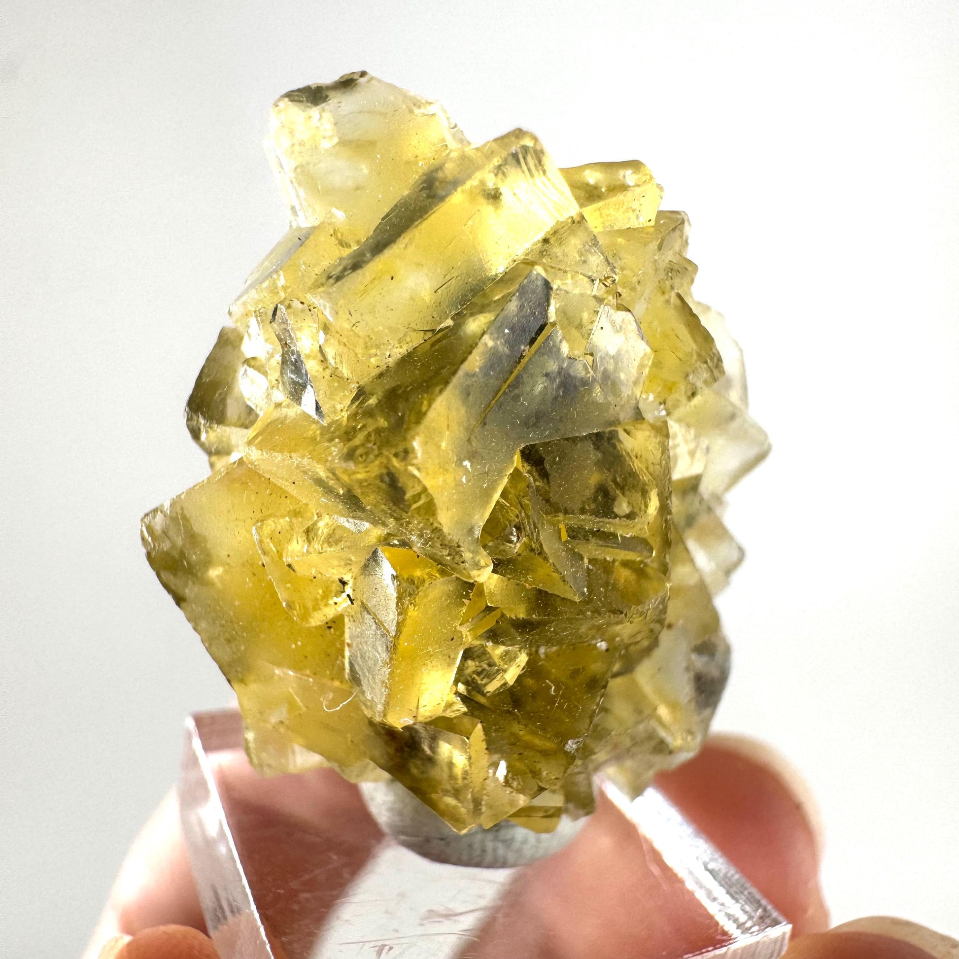 Okorusu Fluorite (Namibia) | “Honey Pocket” fluorite cluster, yellow fluorite crystal, mineral specimen