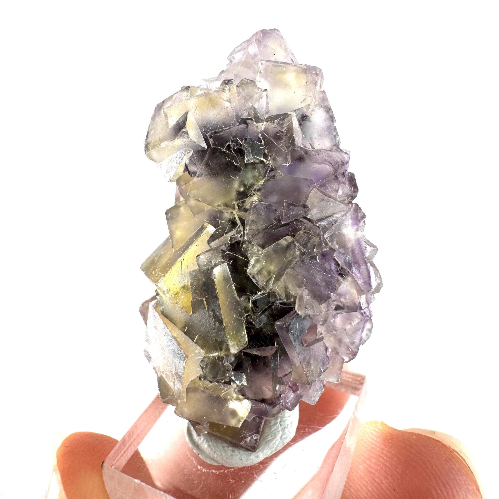 Okorusu Fluorite (Namibia) | “Honey Pocket” fluorite cluster, yellow fluorite crystal, mineral specimen