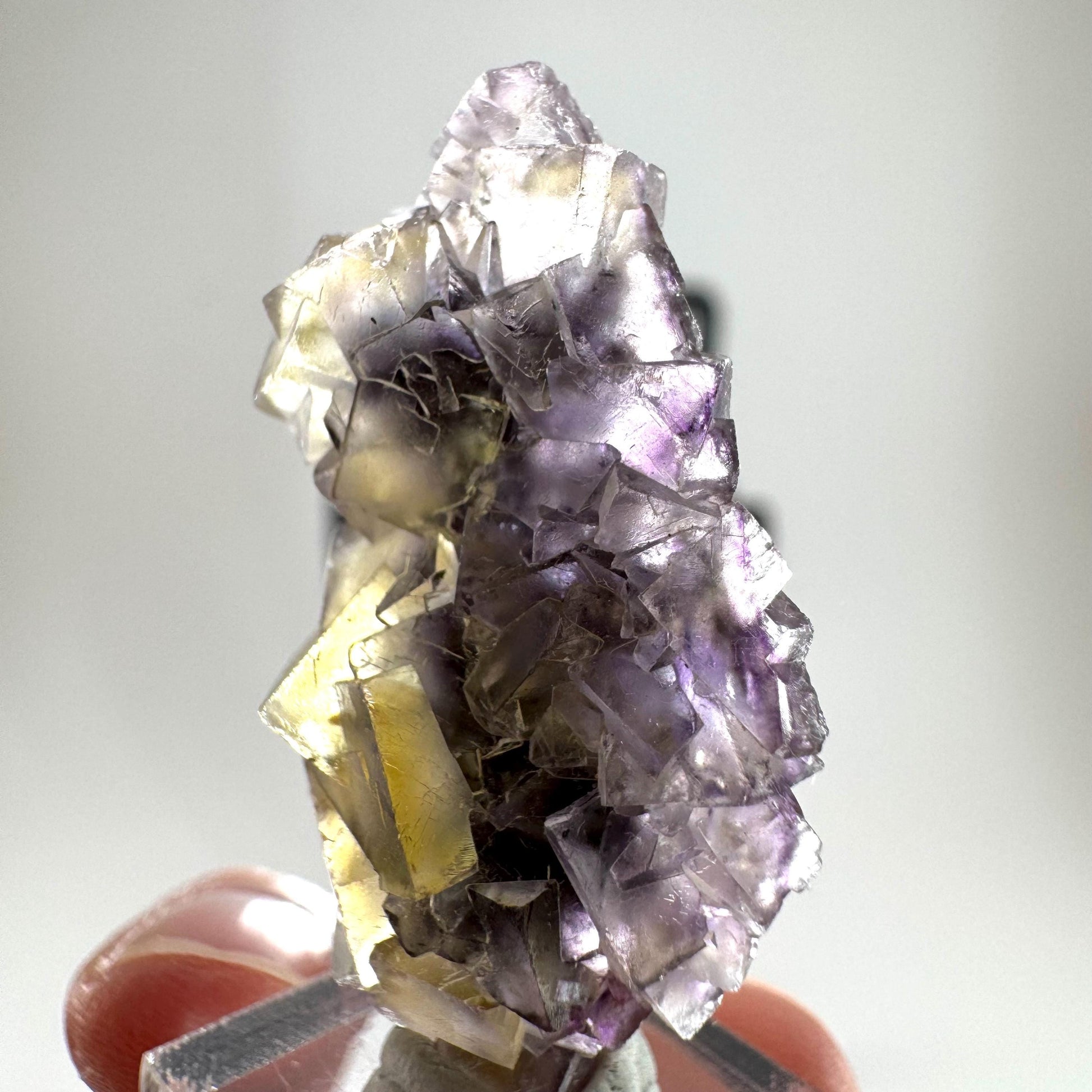 Okorusu Fluorite (Namibia) | “Honey Pocket” fluorite cluster, yellow fluorite crystal, mineral specimen