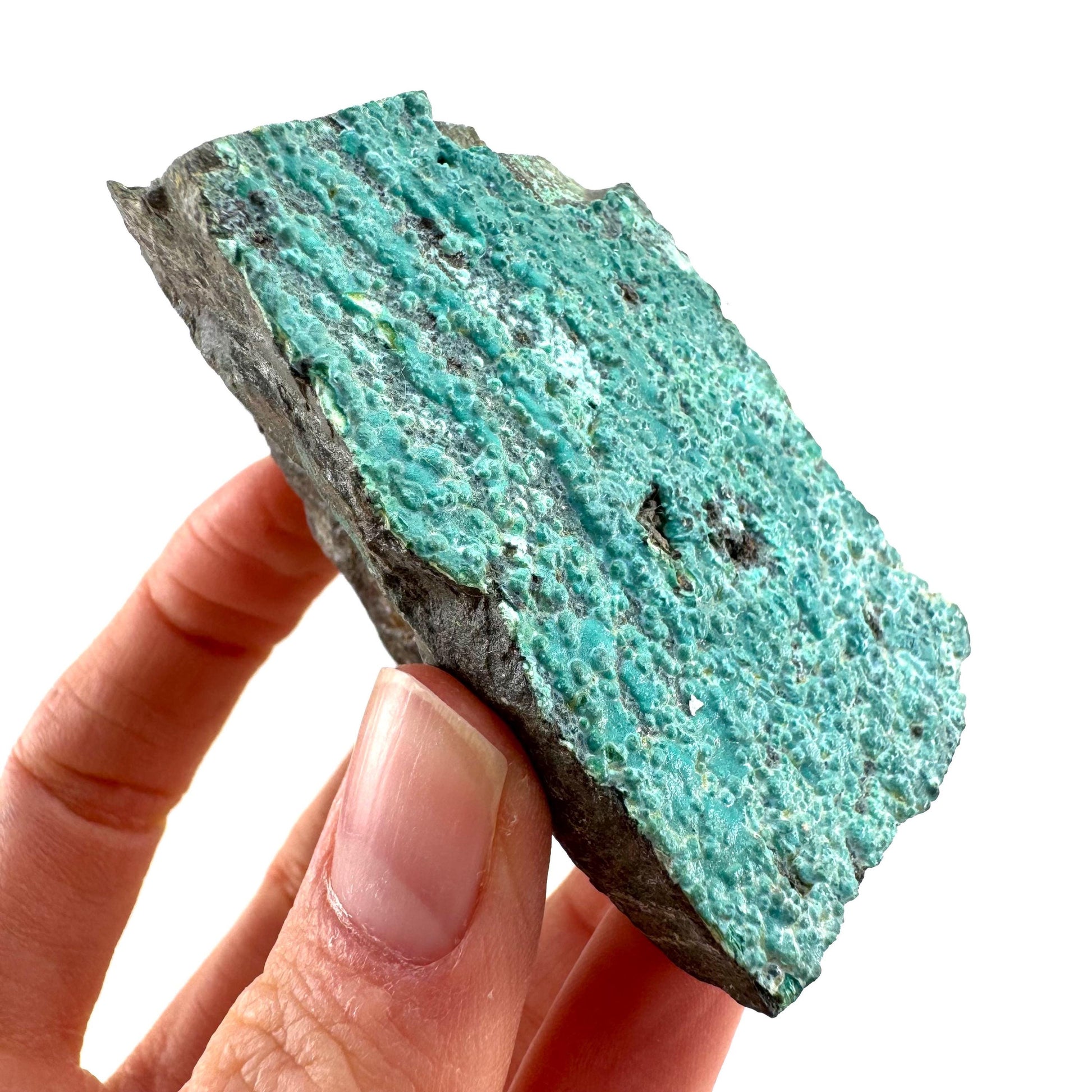 Chrysocolla / Gem Silica (DR Congo) | botryoidal chrysocolla crystal, mineral specimen