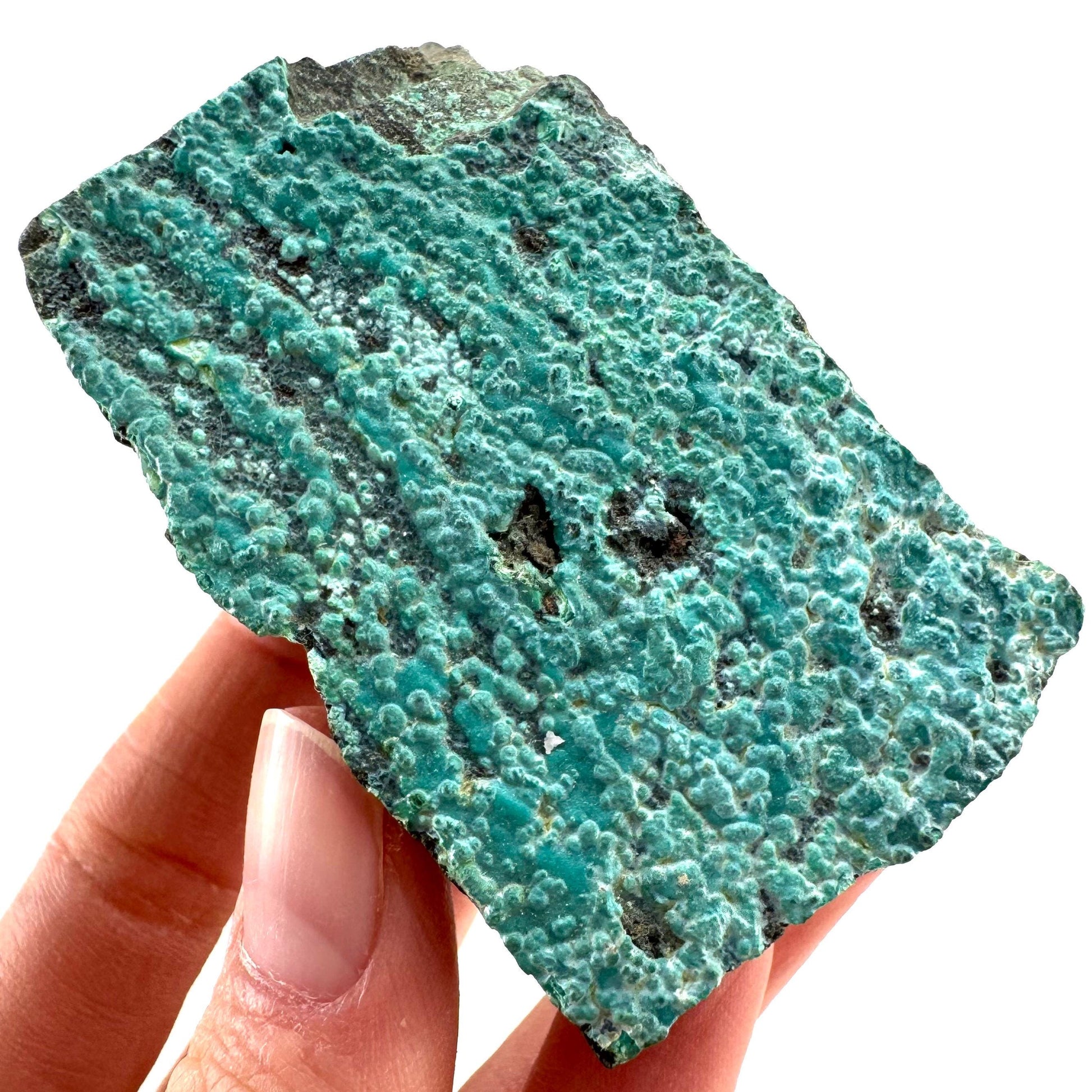 Chrysocolla / Gem Silica (DR Congo) | botryoidal chrysocolla crystal, mineral specimen