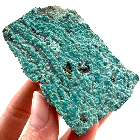 Chrysocolla / Gem Silica (DR Congo) | botryoidal chrysocolla crystal, mineral specimen