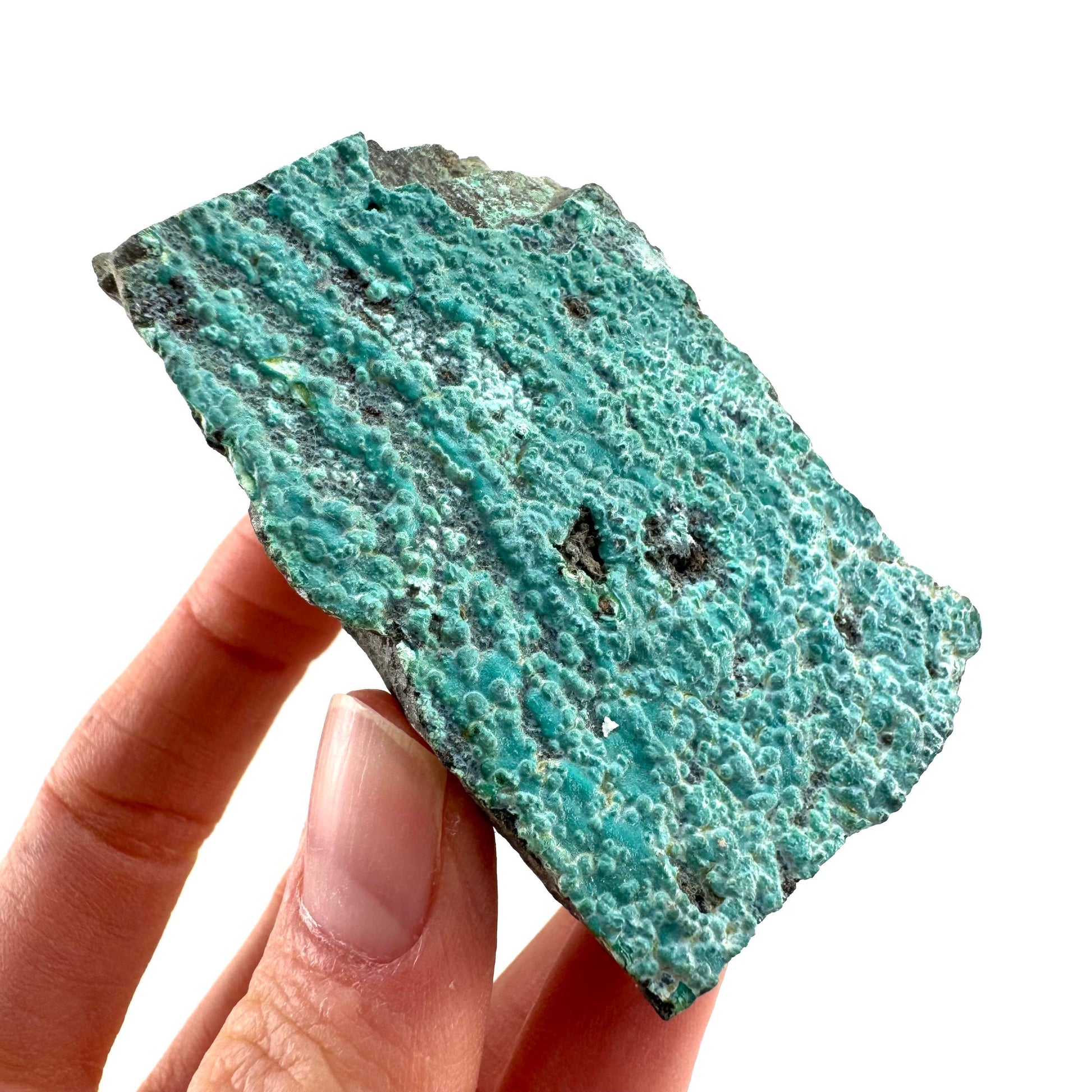 Chrysocolla / Gem Silica (DR Congo) | botryoidal chrysocolla crystal, mineral specimen