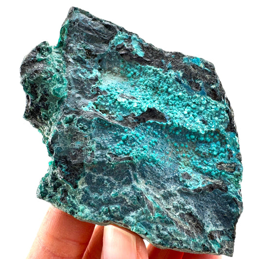 Chrysocolla / Gem Silica (DR Congo) | botryoidal chrysocolla crystal, mineral specimen