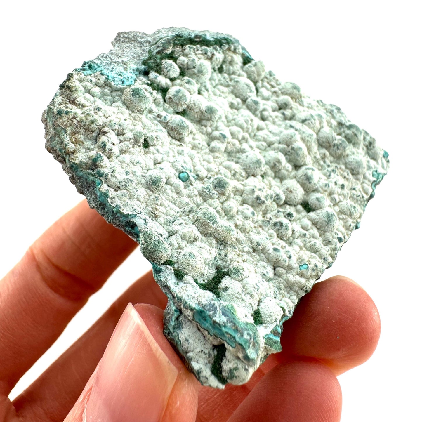 Chrysocolla (DR Congo) | botryoidal chrysocolla crystal, mineral specimen
